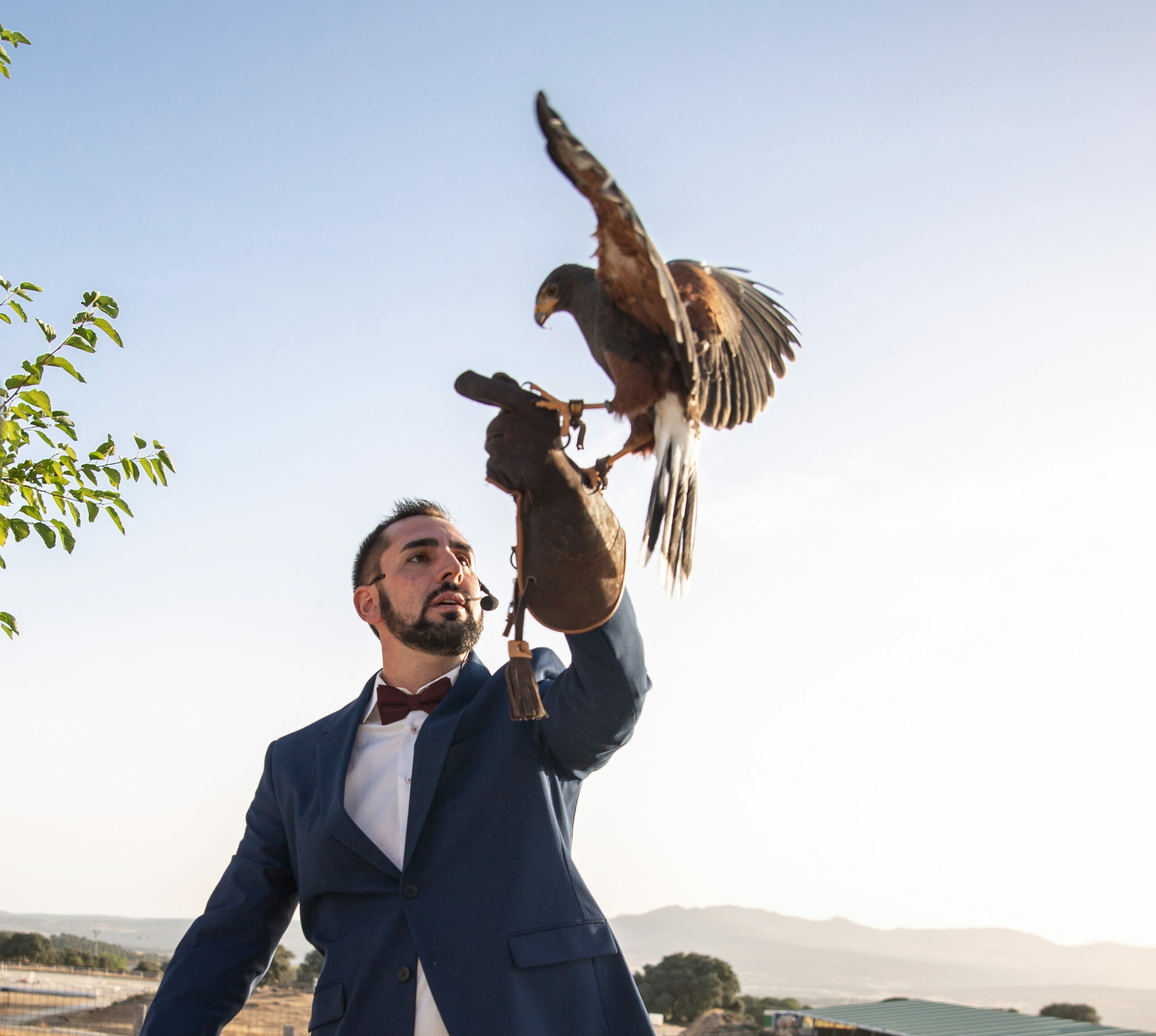 bodas sierra madrid